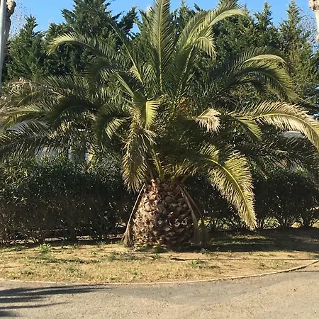 Mobil A La Carabasse Vias